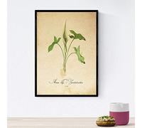 Nacnic Poster de flores vintage. Lámina Arum lily 2 con diseño vintage. Diseño de botánica para interiores. Tamaño A4 con marco