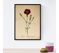Nacnic Poster de flores vintage. Lámina Carnation con diseño vintage. Diseño de botánica para interiores. Tamaño A4 con marco