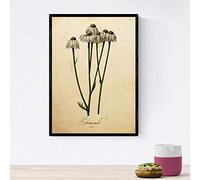 Nacnic Poster de flores vintage. Lámina Chamomile con diseño vintage. Diseño de botánica para interiores. Tamaño A4 con marco