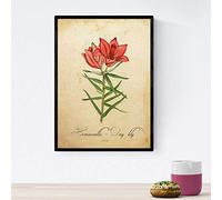 Nacnic Poster de flores vintage. Lámina Hemerocallis, daylily con diseño vintage. Diseño de botánica para interiores. Tamaño A4