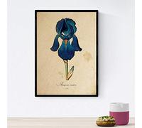 Nacnic Poster de flores vintage. Lámina Iris con diseño vintage. Diseño de botánica para interiores. Tamaño A4 con marco