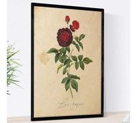 Nacnic Poster de flores vintage. Lámina Les Roses 2 con diseño vintage. Diseño de botánica para interiores. Tamaño A4 con marco