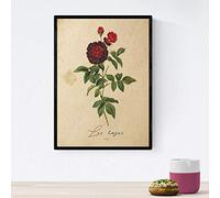 Nacnic Poster de flores vintage. Lámina Les Roses 2 con diseño vintage. Diseño de botánica para interiores. Tamaño A4