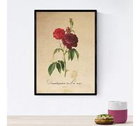 Nacnic Poster de flores vintage. Lámina Les Roses con diseño vintage. Diseño de botánica para interiores. Tamaño A4 con marco