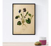 Nacnic Poster de flores vintage. Lámina Viola con diseño vintage. Diseño de botánica para interiores. Tamaño A4