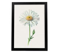 Nacnic Poster de Margarita Estilo Nórdico. Ilustraciones de Botánica con Flores y Plantas en Acuarela. Diseño Moderno y Decoración de Interiores. Modelo 1, A4