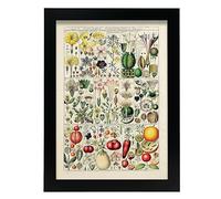Nacnic Póster de Pentandria. Colección de cocina vintage. Cuadros decorativos para su sala de estar, dormitorio, hogar. Impresión de arte de pared. Tamaños A4 con marcos negros