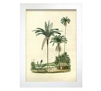 Nacnic Póster de Tamaño de las palmas. Colección de naturaleza vintage. Cuadros decorativos para su sala de estar, dormitorio, hogar. Impresión de arte de pared. Tamaños A4 con marcos blancos