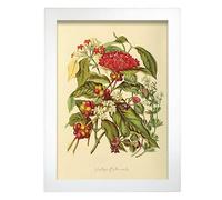 Nacnic Póster de Tribu más loca. Colección floral vintage. Cuadros decorativos para su sala de estar, dormitorio, hogar. Impresión de arte de pared. Tamaños A4 con marcos blancos