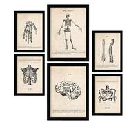 Nacnic Posters de Esqueleto. Ilustraciones Médicas Estilo Vintage de Anatomía, Partes del Cuerpo, Huesos y Músculos. Diseño Moderno para la Decoración de Interiores. A4 & A3 Marcos Negros.