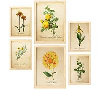 Nacnic Posters de Flores Amarillas. Ilustraciones de Naturaleza y Botánica Estilo Papel Vintage con Temas Florales. Diseño Moderno para la Decoración de Interiores. A4 & A3 Marcos Color Madera.