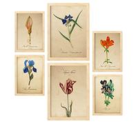 Nacnic Posters de Flores Azules. Ilustraciones de Naturaleza y Botánica Estilo Papel Vintage con Temas Florales. Diseño Moderno para la Decoración de Interiores. A4 & A3 Marcos Color Madera.