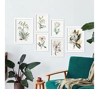 Nacnic Posters de Flores Blancas. Ilustraciones A Todo Color de Naturaleza y Botánica con Temas Florales sobre Fondo Blanco. Diseño Moderno para la Decoración de Interiores. A4 & A3 Marcos Blancos.