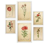 Nacnic Posters de Flores Rojas. Ilustraciones de Naturaleza y Botánica Estilo Papel Vintage con Temas Florales. Diseño Moderno para la Decoración de Interiores. A4 & A3 Marcos Blancos.