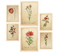 Nacnic Posters de Flores Rojas. Ilustraciones de Naturaleza y Botánica Estilo Papel Vintage con Temas Florales. Diseño Moderno para la Decoración de Interiores. A4 & A3 Marcos Color Madera.