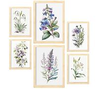 Nacnic Posters de Lilas. Ilustraciones A Todo Color de Naturaleza y Botánica con Temas Florales sobre Fondo Blanco. Diseño Moderno para la Decoración de Interiores. A4 & A3 Marcos Color Madera.