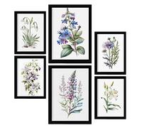 Nacnic Posters de Lilas. Ilustraciones A Todo Color de Naturaleza y Botánica con Temas Florales sobre Fondo Blanco. Diseño Moderno para la Decoración de Interiores. A4 & A3.
