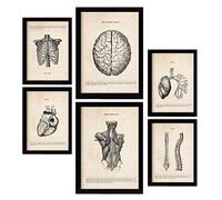 Nacnic Posters de Torso y Cabeza. Ilustraciones Médicas Estilo Vintage de Anatomía, Partes del Cuerpo, Huesos y Músculos. Diseño Moderno para la Decoración de Interiores. A4 & A3.