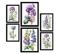 Nacnic Posters de Violetas. Ilustraciones A Todo Color de Naturaleza y Botánica con Temas Florales sobre Fondo Blanco. Diseño Moderno para la Decoración de Interiores. A4 & A3.