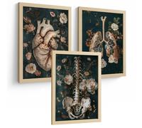 Nacnic Set 3 Cuadros De Anatomía Humana Láminas Con Corazón, Sistema Respiratorio Y Esqueleto Estilo Botánico Elegante Tamaño A3 Marco Madera Clara
