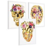 Nacnic Set 3 Cuadros Decorativos De Anatomía Humana Láminas Y Posters Con Cráneo Cerebro Y Corazón Ilustración Dorada Floral Diseño Artístico Tamaño A3 Marco Blanco