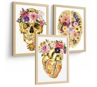 Nacnic Set 3 Cuadros Decorativos De Anatomía Humana Láminas Y Posters Con Cráneo Cerebro Y Corazón Ilustración Dorada Floral Diseño Artístico Tamaño A3 Marco Madera Clara
