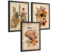Nacnic Set 3 Láminas De Anatomía Humana Floral Vintage Posters Decorativos Con Pulmones Caja Torácica Y Cerebro Cuadros Botánicos Estilo Antiguo Tamaño A3 Marco Negro