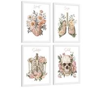 Nacnic Set 4 Cuadros De Anatomía Humana Láminas Florales Con Corazón Pulmones Esqueleto Y Cráneo Estilo Moderno Elegante Tamaño A4 Marco Blanco