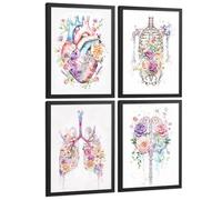 Nacnic Set 4 Cuadros Decorativos De Anatomía Humana Láminas Y Posters Con Corazón Cerebro Pulmones Tráquea Bronquios Columna Vertebral Diseño Floral Acuarela Tamaño A4 Black Frame