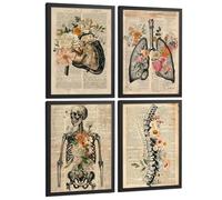 Nacnic Set 4 Posters De Anatomía Láminas Y Cuadros Decorativos Con Higado Pulmones Sistema Respiratorio Esqueleto Cráneo Columna Estilo Vintage Periódico Tamaño A4 Black Frame