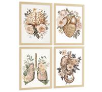 Nacnic Set 4 Posters De Cuerpo Humano Vintage Láminas Y Cuadros Con Cerebro Corazón Pulmones Tráquea Bronquios Riñones Sistema Digestivo Estómago Intestinos Decoración Tamaño A3 Sin Marco