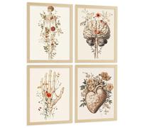 Nacnic Set 4 Posters Decorativos De Anatomía Humana Con Flores Láminas Modernas De Cuerpo Completo Cerebro Mano Y Corazón Tamaño A4 Sin Marco