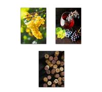 Nacnic Set De 3 Pósters De Uvas De Viñedo Y Corcho Ilustración Impresa En Estilo Fotográfico Para Decorar Cocina, Despensa, Cortijo, Comedor, Restaurante A3 Sin Marco