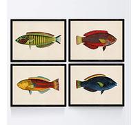 Nacnic Set de 4 láminas con pez colorido efecto vintage tono amarillo azul y rojo. Composicion de 4 peces en tamaño A3, fondo papel antiguo vintage Poster papel 250 gr. Sin Marco