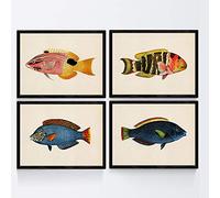 Nacnic Set de 4 láminas con pez colorido efecto vintage tono azul, amarillo. Composicion de 4 peces diferentes en tamaño A3, fondo papel antiguo vintage Sin Marco