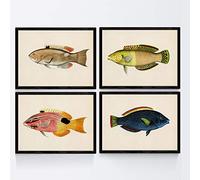 Nacnic Set de 4 láminas con pez colorido efecto vintage tono azul amarillo verde. Composicion de 4 peces diferentes en tamaño A4, fondo papel antiguo Poster papel 250 gr Sin Marco
