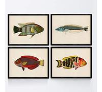 Nacnic Set de 4 láminas con pez colorido efecto vintage tono azul rojo verde. Composicion de 4 peces diferentes en tamaño A3, fondo papel antiguo vintage Poster papel 250 gr. Sin Marco