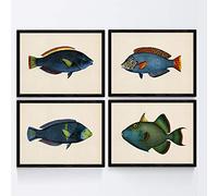 Nacnic Set de 4 láminas con pez colorido efecto vintage tono azul verde. Composicion de 4 peces diferentes en tamaño A4, fondo papel antiguo vintage Poster papel 250 gr Sin Marco