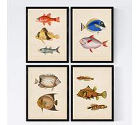 Nacnic Set de 4 láminas de peces coloridos efecto vintage. Atlantico. Composicion de 10 peces diferentes en tamaño A4, fondo papel antiguo vintage Poster papel 250 gr Sin Marco