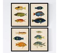 Nacnic Set de 4 láminas de Peces Coloridos Efecto Vintage. Caribe. Composicion de 12 Peces Diferentes en tamaño A4, Fondo Papel Antiguo Vintage. con Marco.