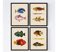 Nacnic Set de 4 láminas de peces coloridos efecto vintage. Composicion de 10 peces diferentes en tamaño A3, fondo papel antiguo vintage Poster papel 250 gr. Sin Marco