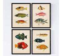 Nacnic Set de 4 láminas de peces coloridos efecto vintage. Composicion de 11 peces diferentes en tamaño A4, fondo papel antiguo vintage Poster papel 250 gr. Sin marco.