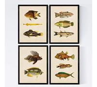 Nacnic Set de 4 láminas de peces coloridos efecto vintage. Composicion de 11 peces diferentes en tamaño A3, fondo papel antiguo vintage Poster papel 250 gr Sin Marco