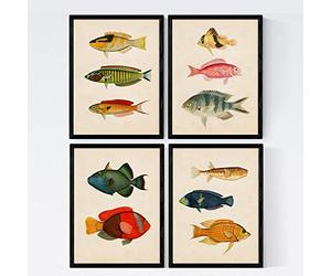 Nacnic Set de 4 láminas de peces coloridos efecto vintage. Composicion de 11 peces diferentes en tamaño A4, fondo papel antiguo vintage Poster papel 250 gr. Sin marco.