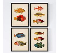 Nacnic Set de 4 láminas de peces coloridos efecto vintage. Maldivas. Composicion de 10 peces diferentes en tamaño A4, fondo papel antiguo vintage Poster papel 250 gr Sin Marco