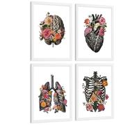 Nacnic Set De 4 Láminas Decorativas Anatomía Posters Y Cuadros Con Cerebro Corazón Pulmones Sistema Respiratorio Costillas Columna Vertebral Diseño Floral Moderno Tamaño A4 Marco Blanco
