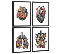 Nacnic Set De 4 Láminas Decorativas Anatomía Posters Y Cuadros Con Cerebro Corazón Pulmones Sistema Respiratorio Costillas Columna Vertebral Diseño Floral Moderno Tamaño A3 Marco Negro