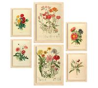 Nacnic Set de 6 Bouquets 2 Posters. En Impresiones vintage. Cuadros decorativos estéticos para su sala de estar, dormitorio, hogar Tamaños A4 y A3 con marcos de madera ligera
