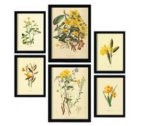 Nacnic Set de 6 Flores amarillas 2 Posters. En Impresiones vintage. Estampados decorativos estéticos para su sala de estar, dormitorio, hogar Tamaños A4 y A3