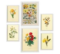 Nacnic Set de 6 Flores amarillas Posters. En Impresiones vintage. Cuadros decorativos estéticos para su sala de estar, dormitorio, hogar Tamaños A4 y A3 con marcos blancos